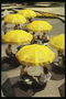 Под жёлтыми зонтиками прохожие отдыхают и пьют кофе 