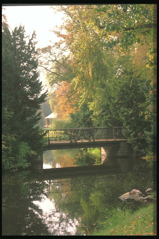 Мост через реку в парке за городом