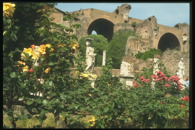 Развалины старого замка