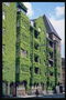 Стены домов обвиты зелёными растениями
