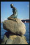 Статуя сидящей русалки и смотрящей в море