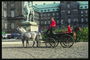 Повозка с лошадьми на площади города