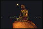 Статуя русалки в ночных огнях