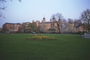 Крепость. Зеленая лужайка и желтые цветы