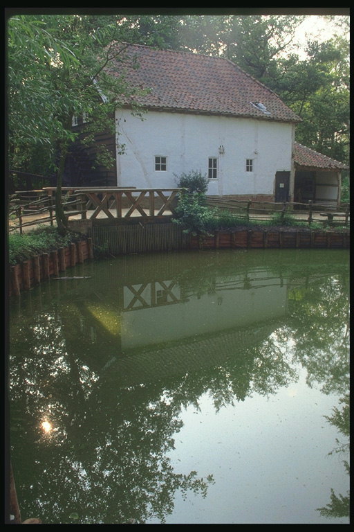 Сельский домик у пруда