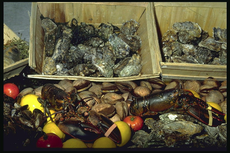 Разнообразие продуктов с моря