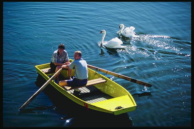 Люди на лодке и лебеди