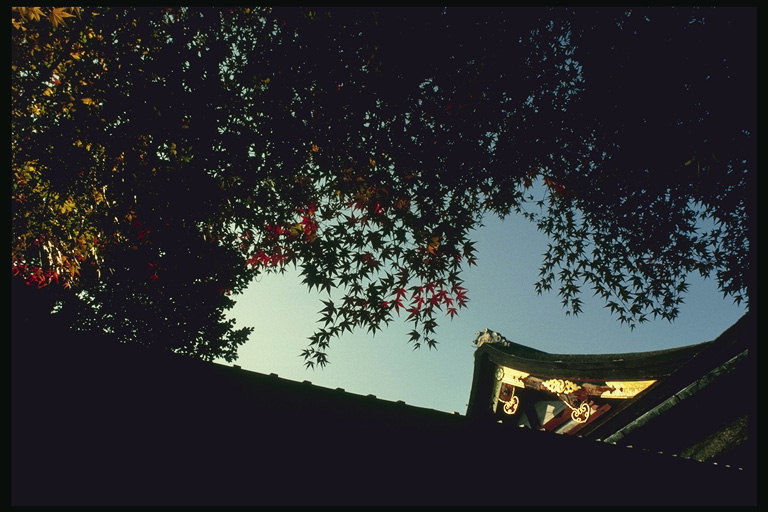 Кусочек крыши на фоне неба среди листьев