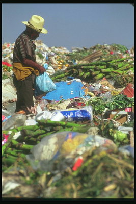 La depozitul de deşeuri în Mexic. resturi Sortare în lupta pentru supravieţuire