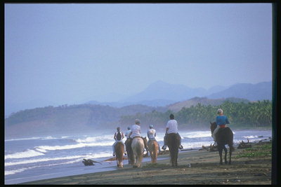 Групповая поездка верхом на лошадях по берегу залива