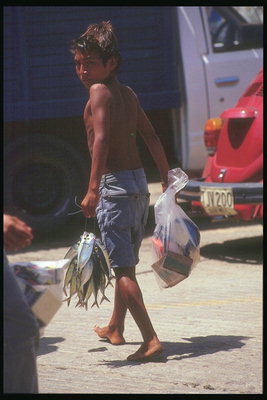 Mexikansk pojke med en liten fångst av fisk på väg till marknaden