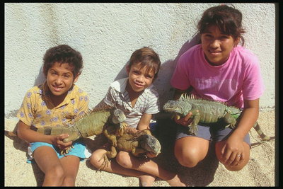 Solbrända mexikanska barn sälja marina leguaner nyfikna turister