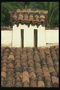 The roof tiles from houses