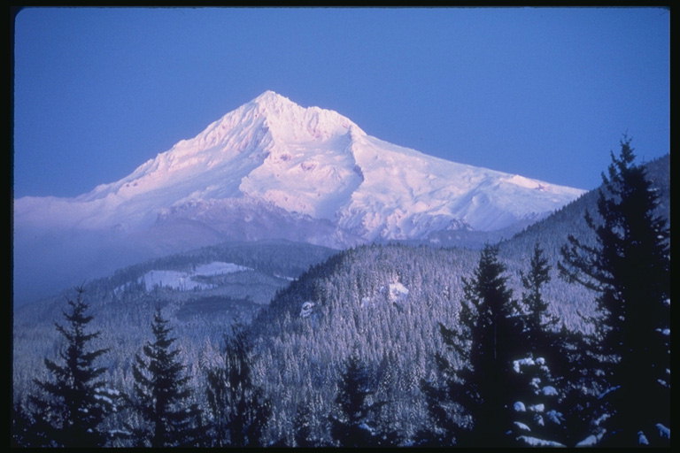 Snowy bjerge