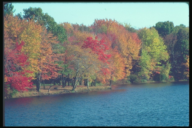 Efterår farver fra bredden af floden