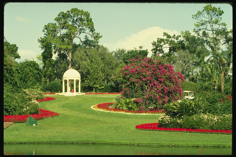 Florida. Hari. Blooming Taman kota