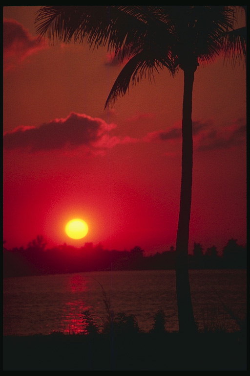 Florida. Matahari terbenam di atas laut
