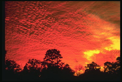 Florida. Flame-merah matahari terbenam