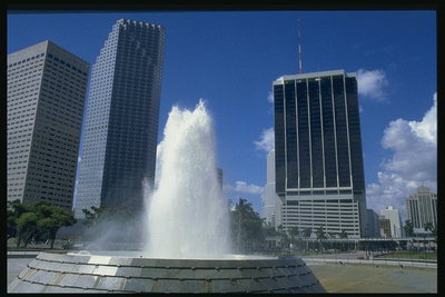 Florida. Edificios altos. Fuente en el centro de la ciudad