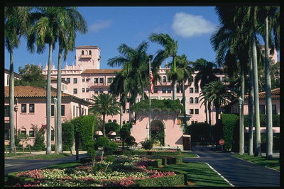 美国佛罗里达州。 粉红酒店在阴凉处的棕榈园