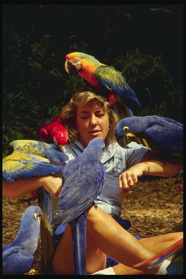 Флорида. Женщина с попугаями