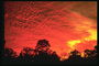 Florida. Ugninė raudona saulėlydžio
