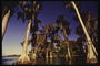 Florida. Pemëve në ujë