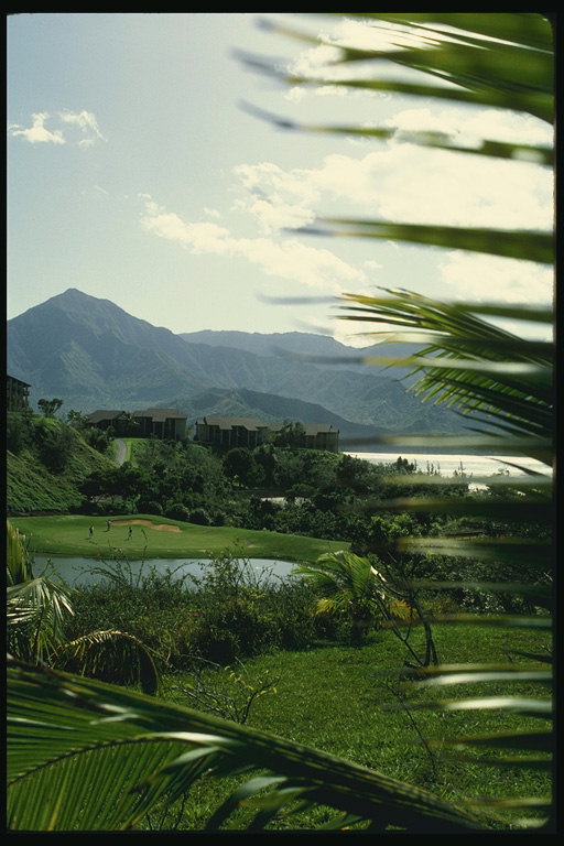 Пейзажи Ямайки