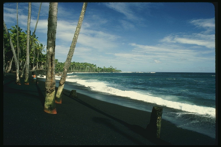 Гавайское побережье