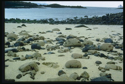 Beach pierres