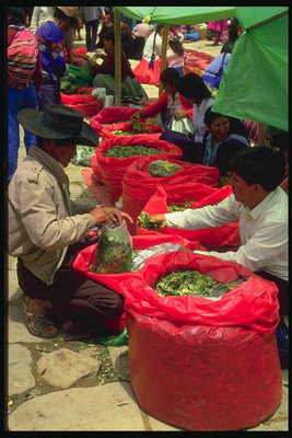 स्थानीय बाजार. मसालों और जड़ी बूटी की बिक्री