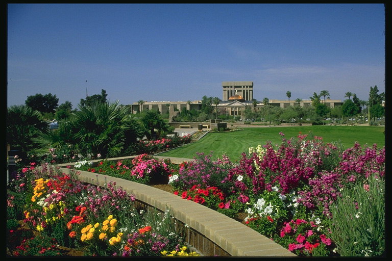 City Park. Kvetoucí flowerbeds s svetlé farby