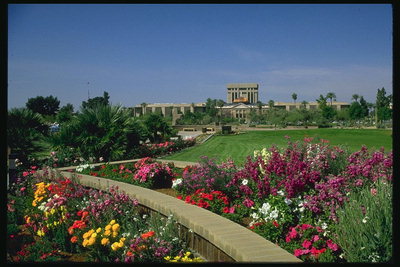Şehir Parkı. Parlak renklerle flowerbeds Blossoming