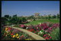 Taman Kota. Blossoming flowerbeds dengan warna cerah