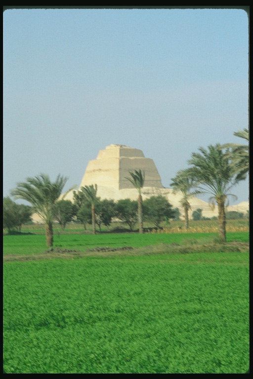 Пирамида на фоне зелени и пальм