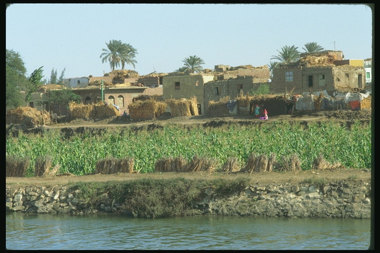 Город на берегу быстрого Нила