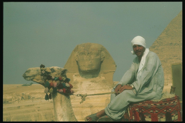 Египет. Пирамиды. Экскурсии на верблюдах 