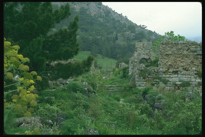 Равнина с полуразвалившийся стеной крепости
