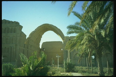 Здание с аркой и пальмами на улице