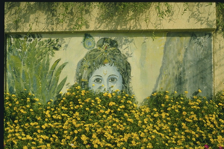 Картина девушки окружённая клумбой с жёлтыми цветами