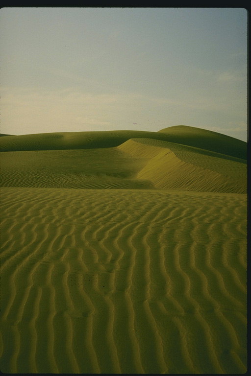 Песчаные пустыни. Рисунки на песке
