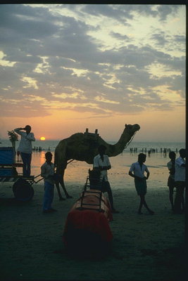 Группа людей на берегу с повозкой запряжённым верлюдом
