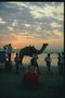 Группа людей на берегу с повозкой запряжённым верлюдом