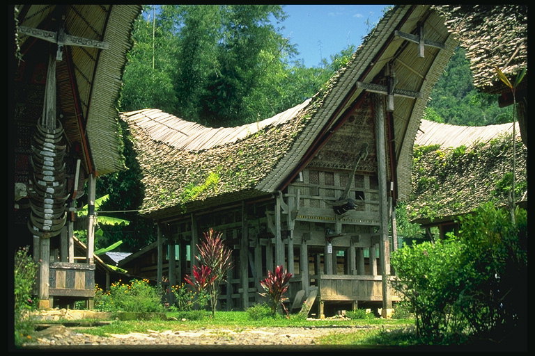 Дома местных жителей индонезийцев