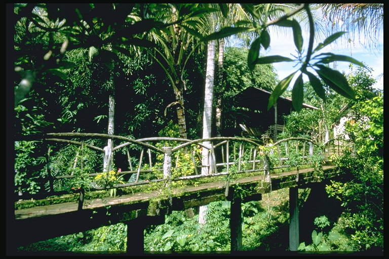 Мост через реку ведущий к домам