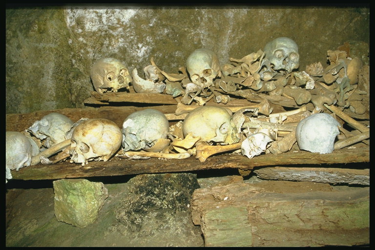 Кости людей лежащих в пещере на досках