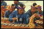 Мужчины играющие на национальном музыкальном инструменте
