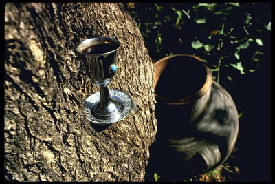 Чаша и кувшин стоят возле ствола дерева