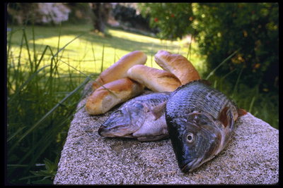 Две рыбы и четыре хлеба лежат на камне