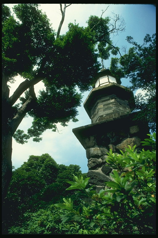 Возвышающаяся башня в городском парке
